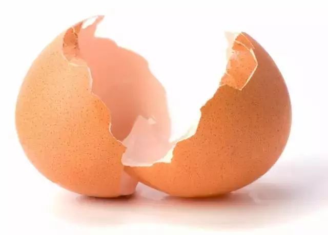 鸡蛋壳补钙是真的吗（吃鸡蛋壳补不补钙）-硒宝网