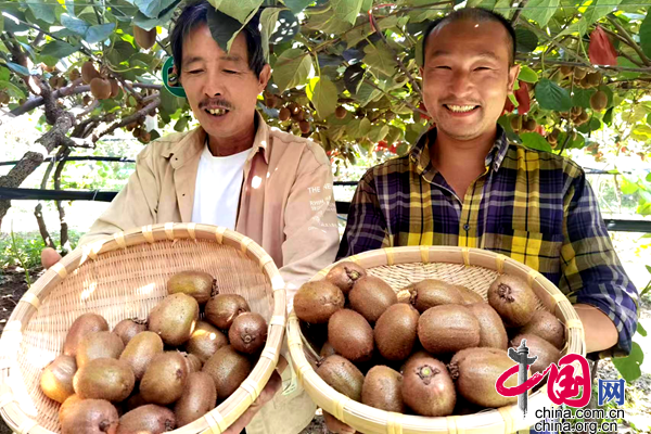 南阳富硒水果