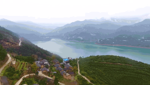 富硒水果番茄
