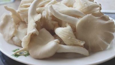 明水平菇