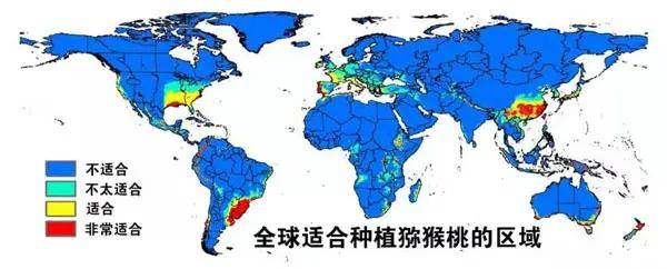 富硒水果小镇