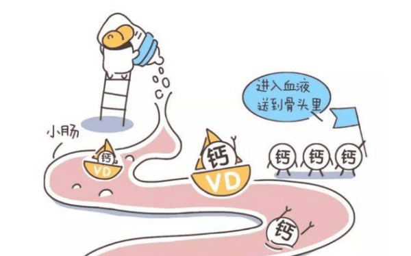 7一8岁儿童补钙要补多久