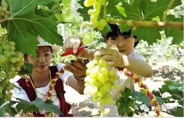 连州富硒水果