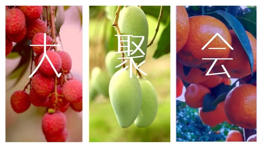 国外富硒水果