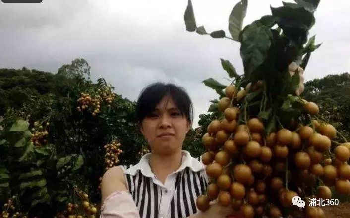 国外富硒水果