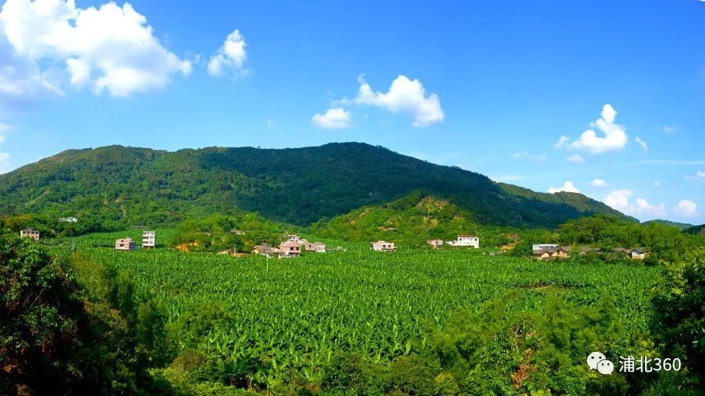国外富硒水果