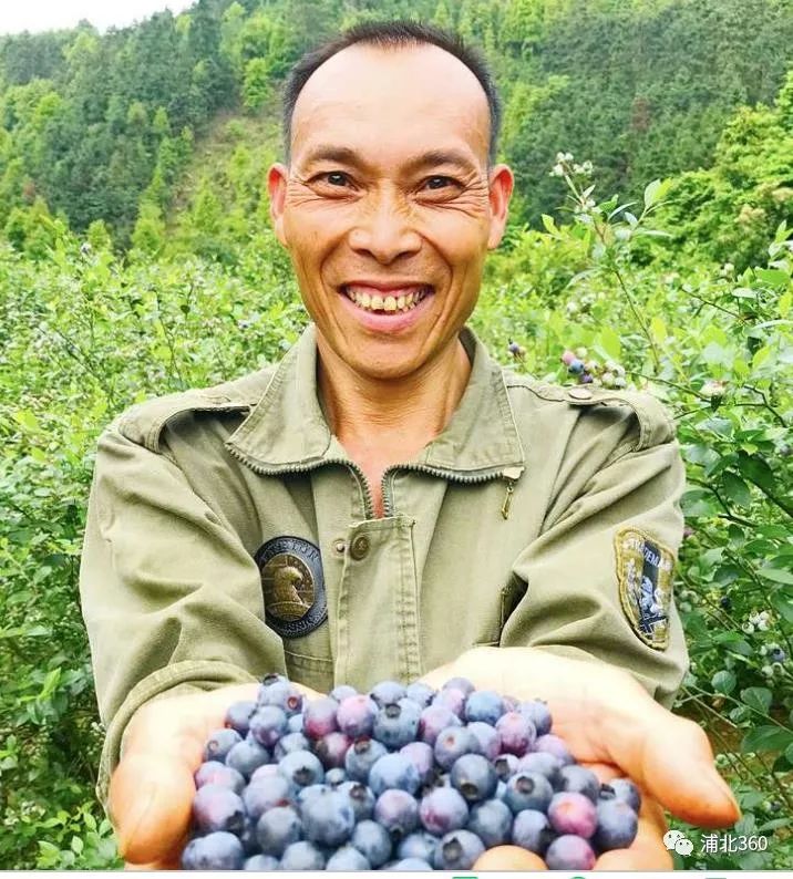 国外富硒水果