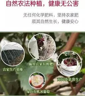 河北富硒水果