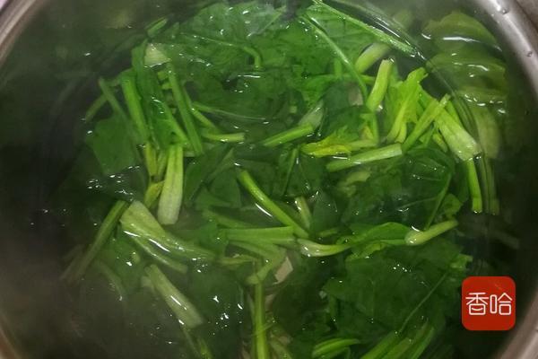 菠菜可以补铁吗