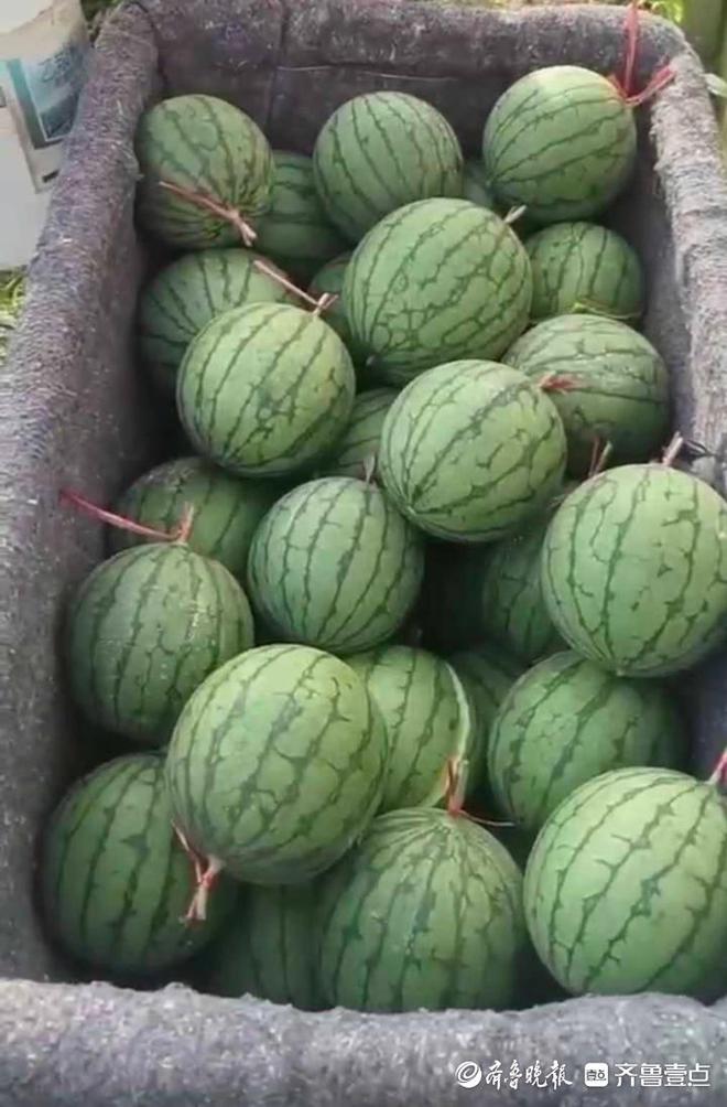 曲靖富硒水果