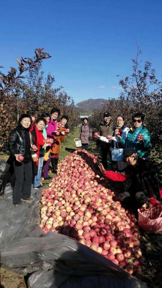 运城富硒水果