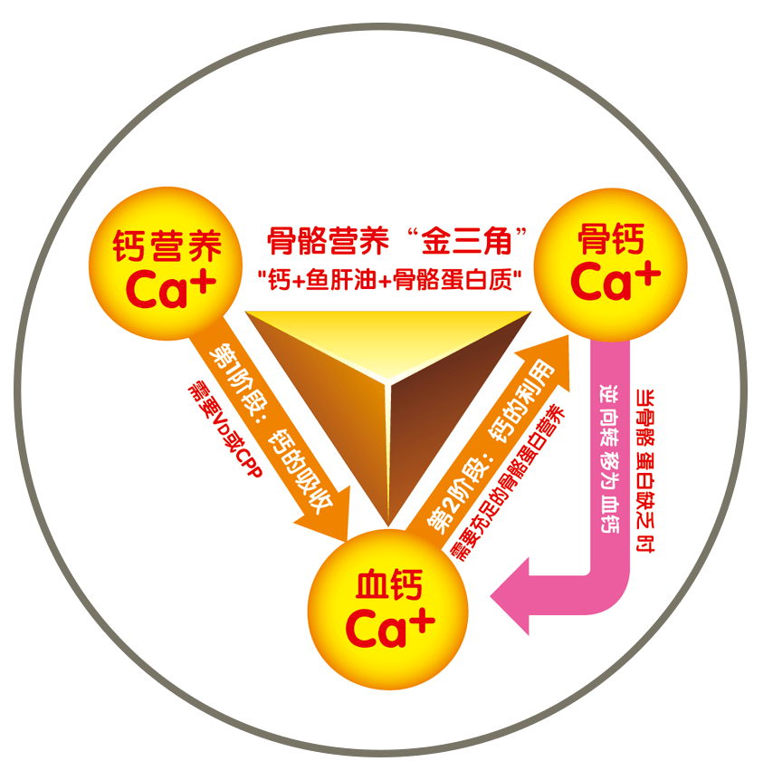 产后需要补钙吗