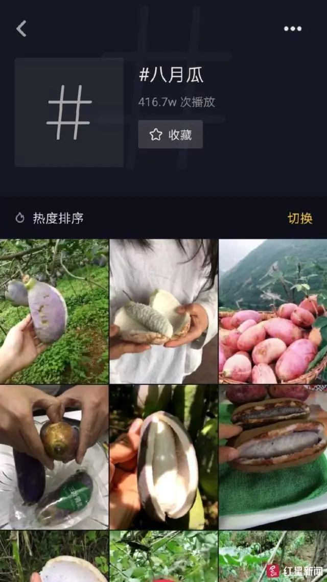 文昌富硒水果