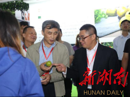 湘潭富硒水果