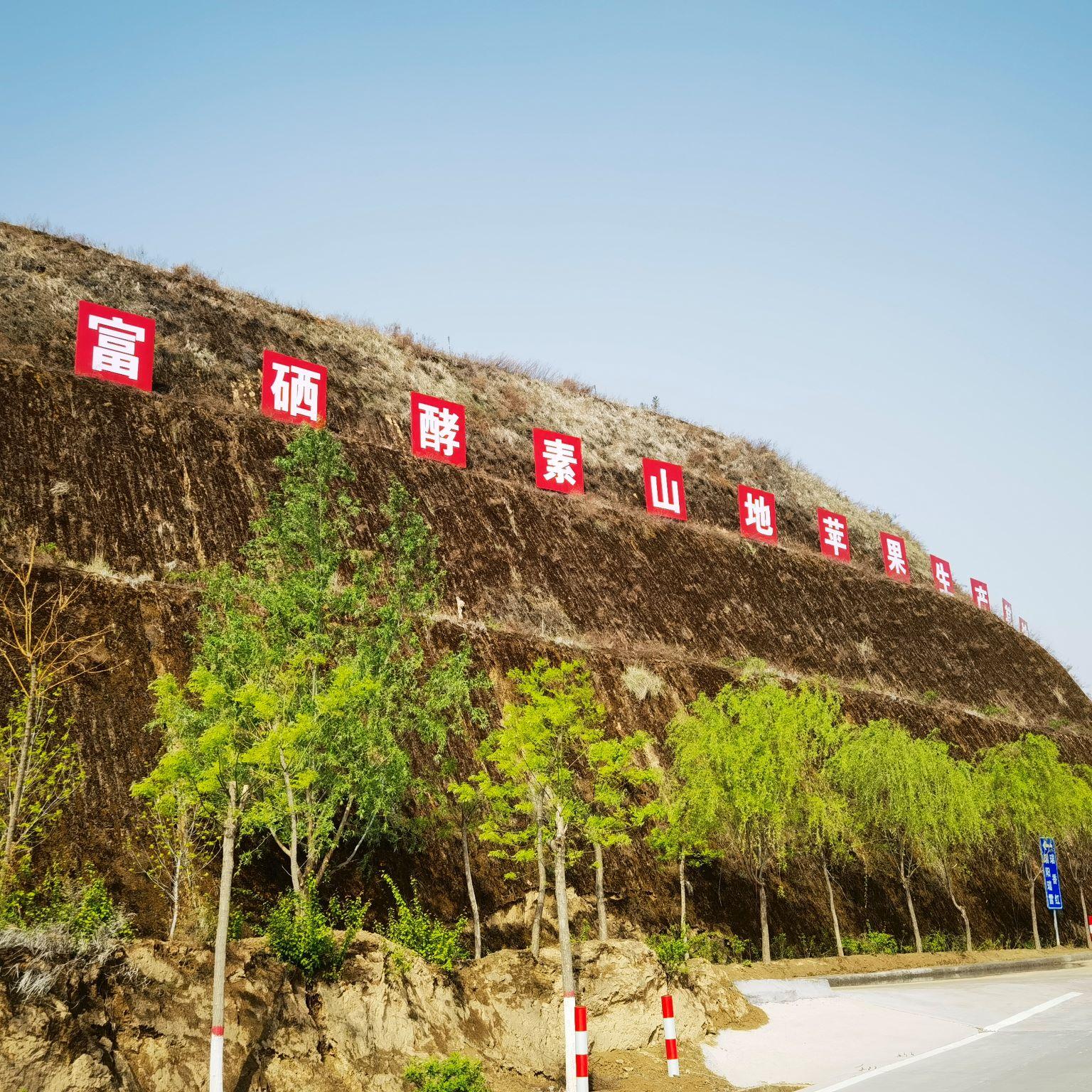 富硒葡萄水果