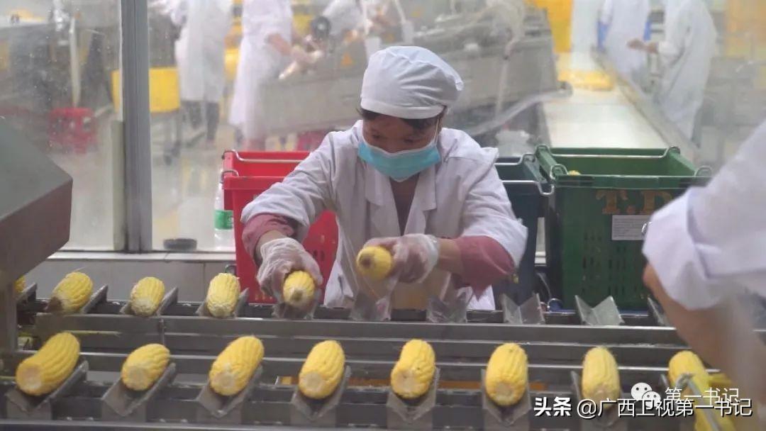 富硒水果玉米