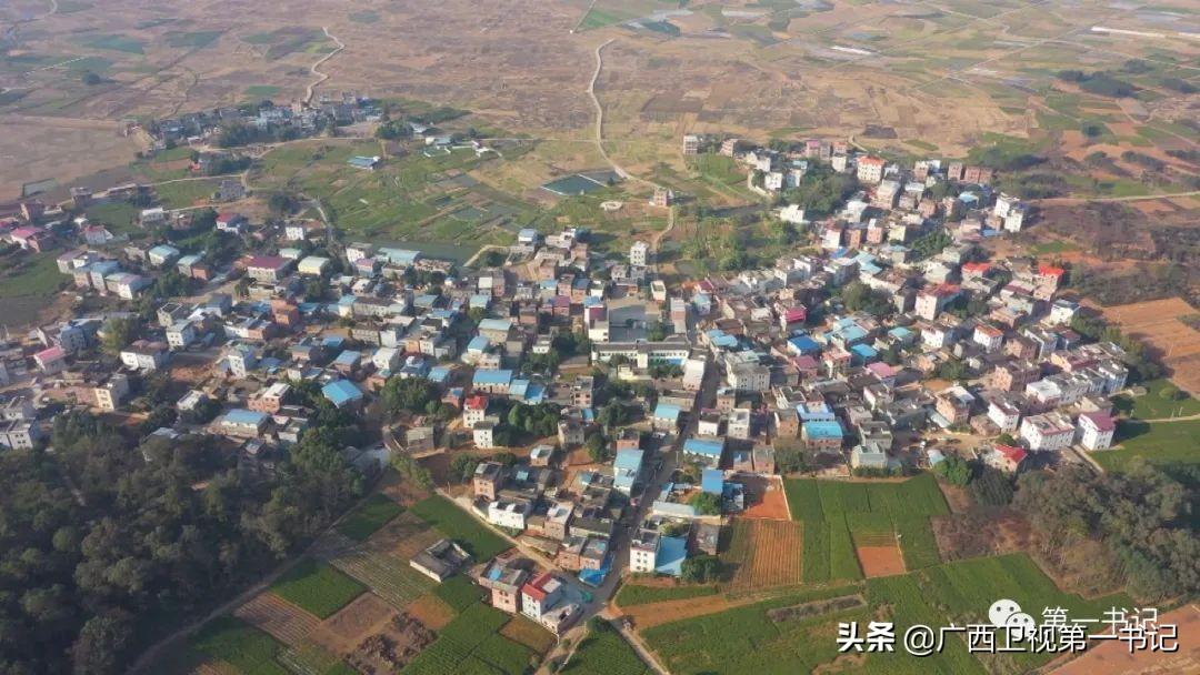 富硒水果玉米