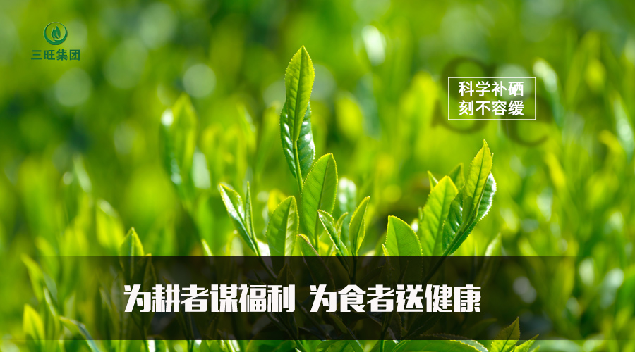 富硒水果种植