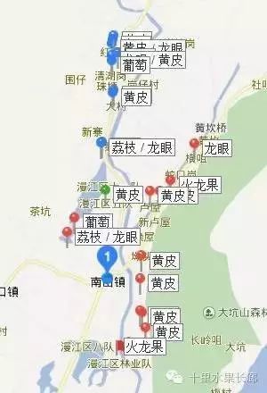 富硒水果要求