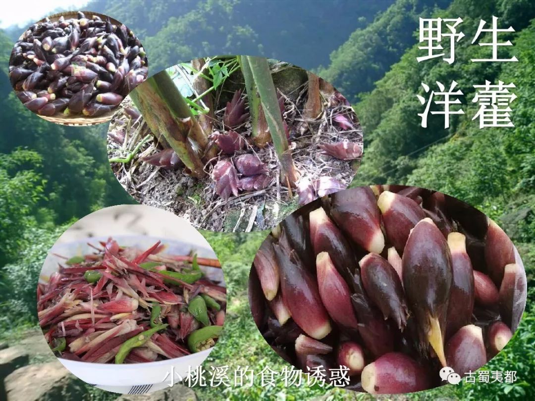 富硒水果功效