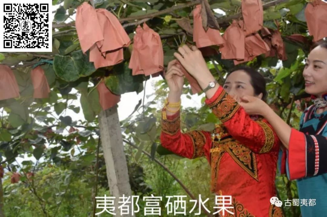 富硒水果功效