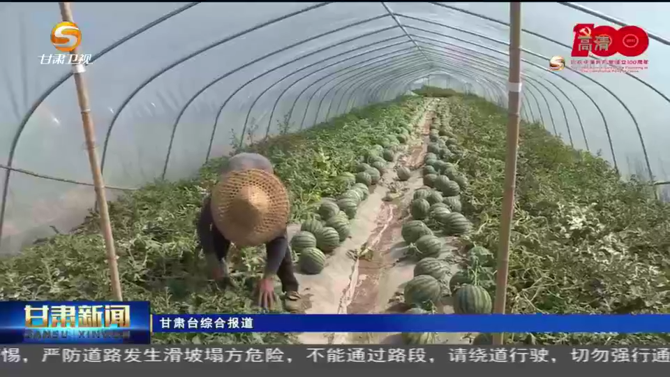 陇南富硒水果