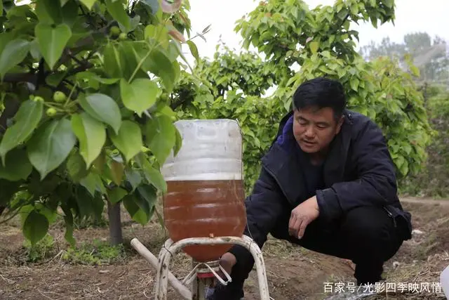郴州富硒水果