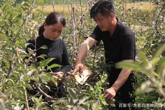 郴州富硒水果