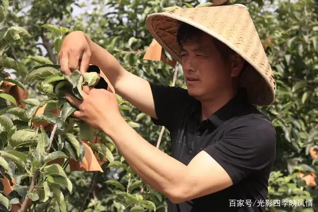 郴州富硒水果