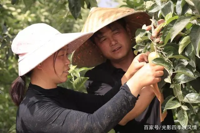 郴州富硒水果