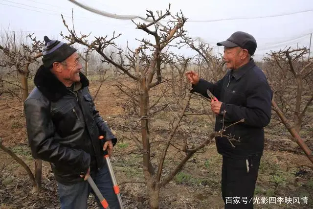 郴州富硒水果