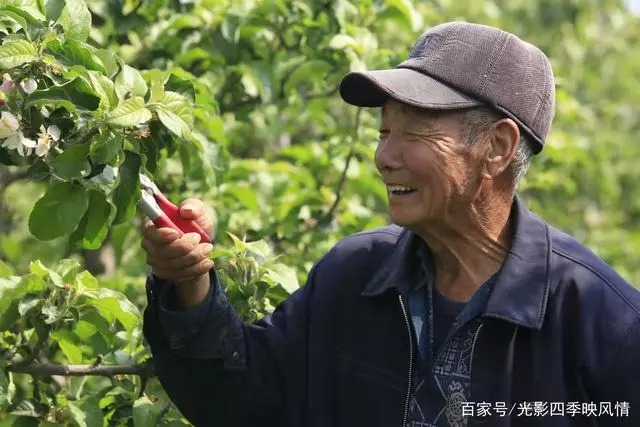 郴州富硒水果