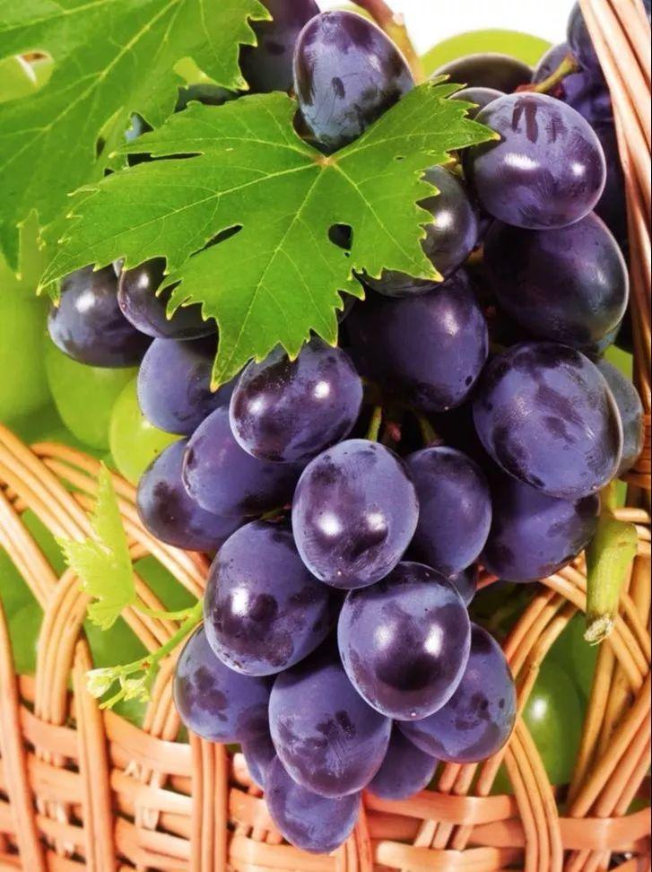 菏泽富硒水果