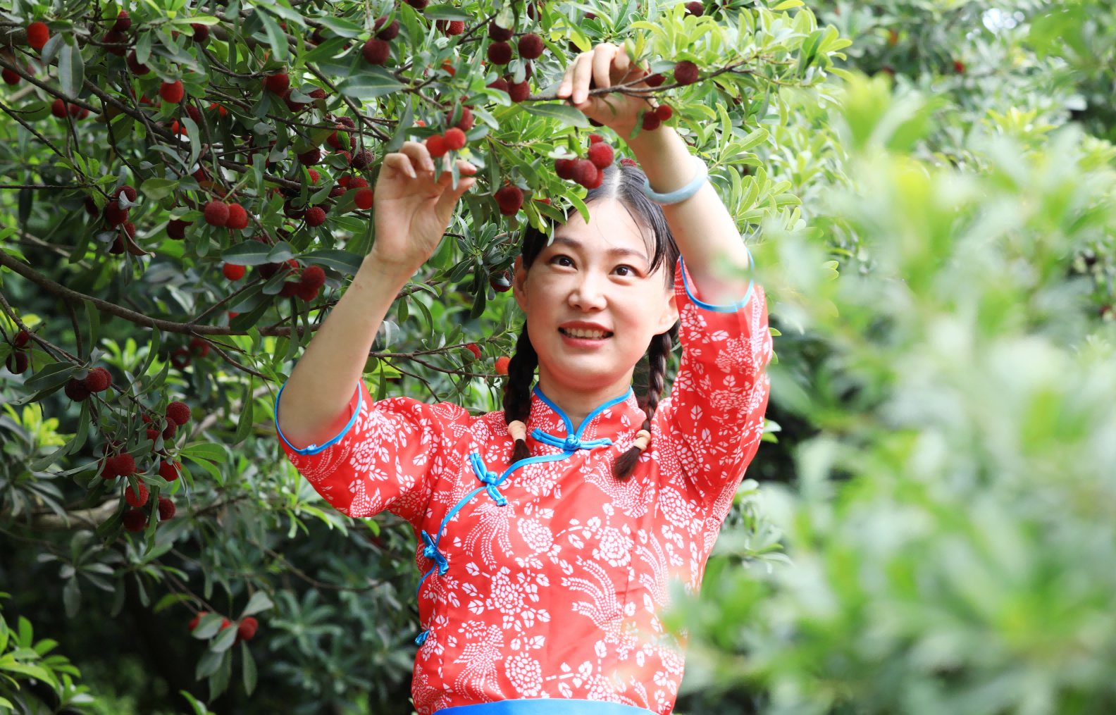富硒水果组图