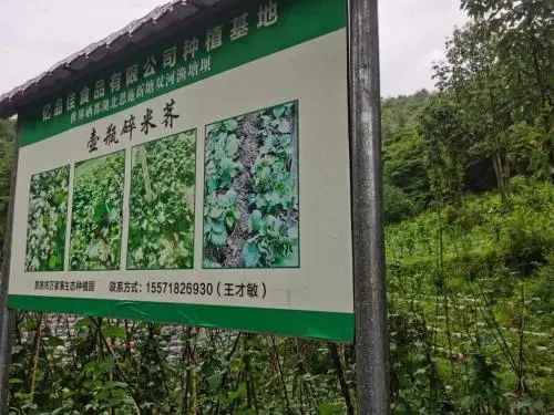 富硒水果食品