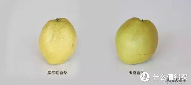 超市里的梨吃了这么多年，你都认得全么？