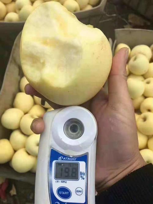 富硒水果名字