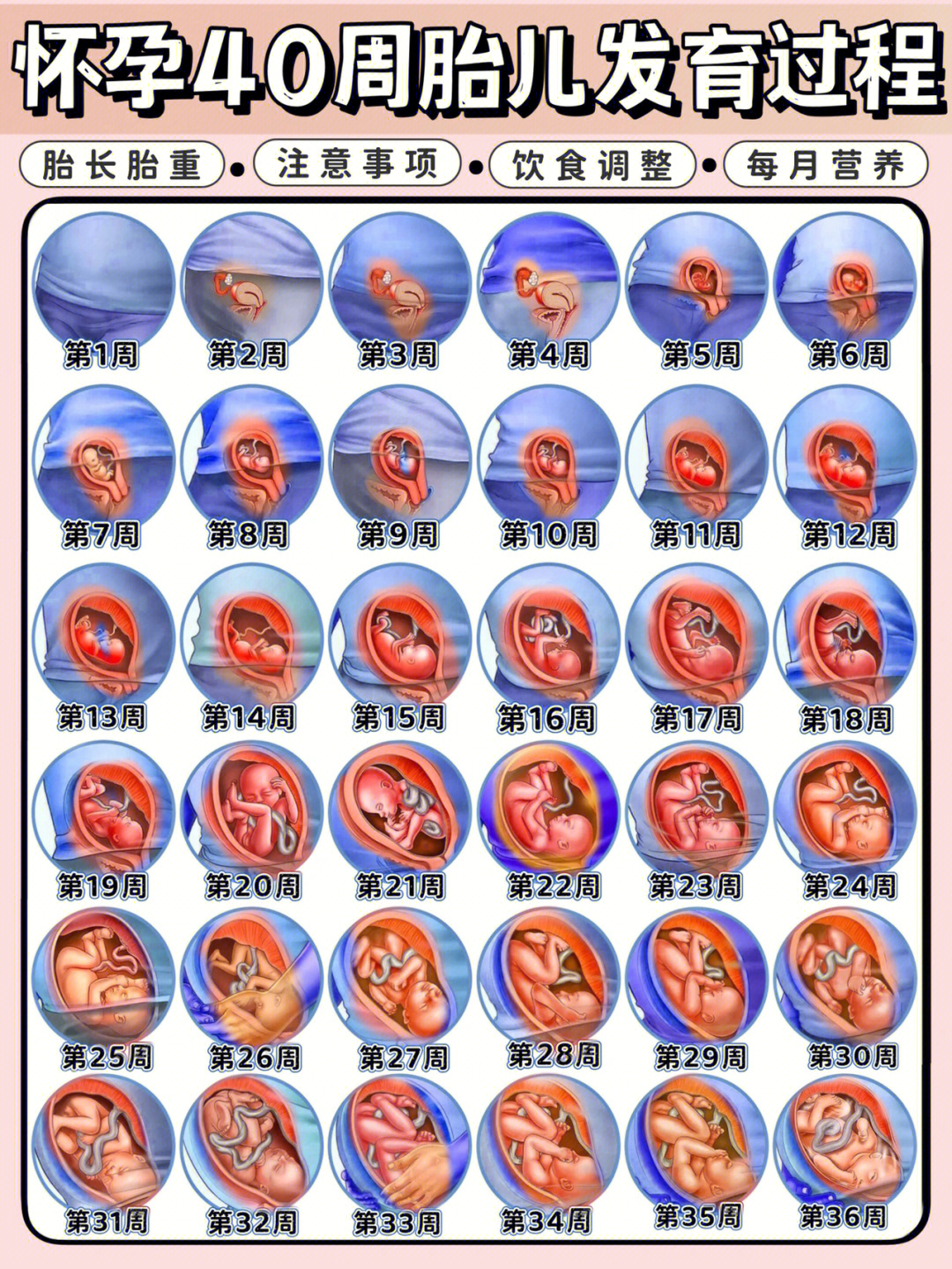 孕妇吃啥补钙