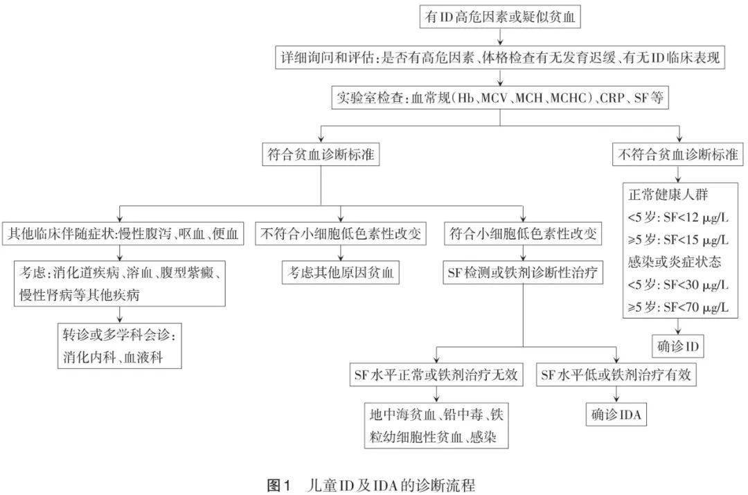 儿童补铁食谱
