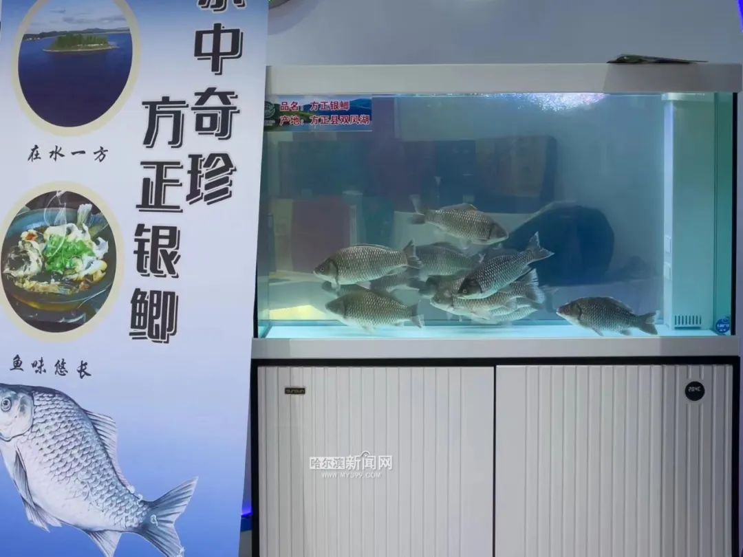 我国富硒产品