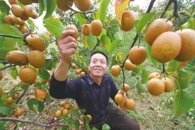 硒麦食品产品