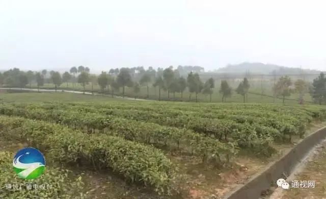 硒味道农产品