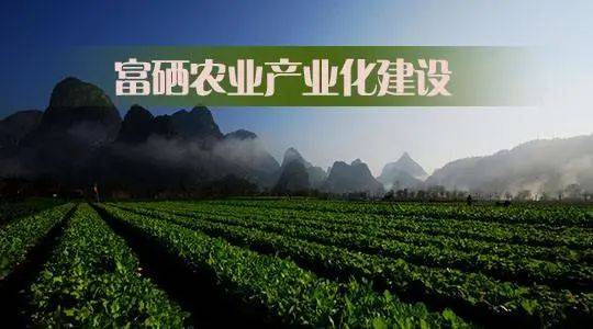 硒产品广告语