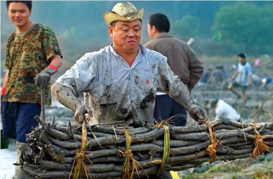 硒味道农产品