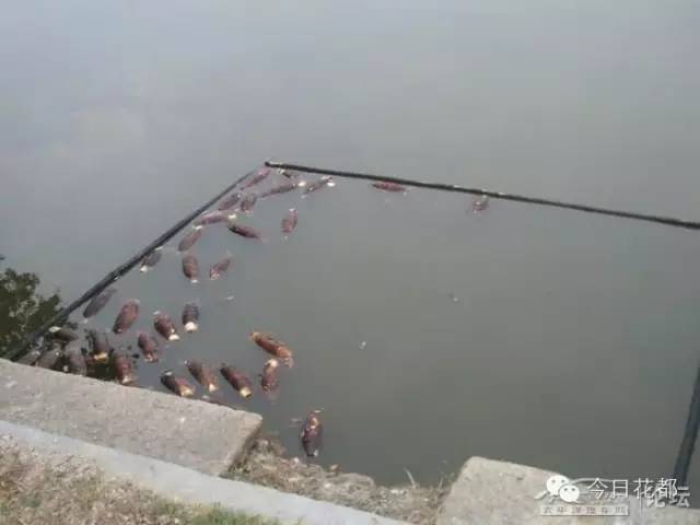 硒味道农产品