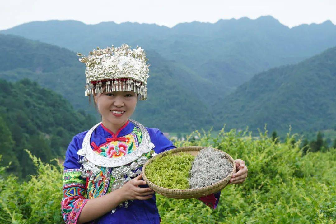 含硒莓茶产品