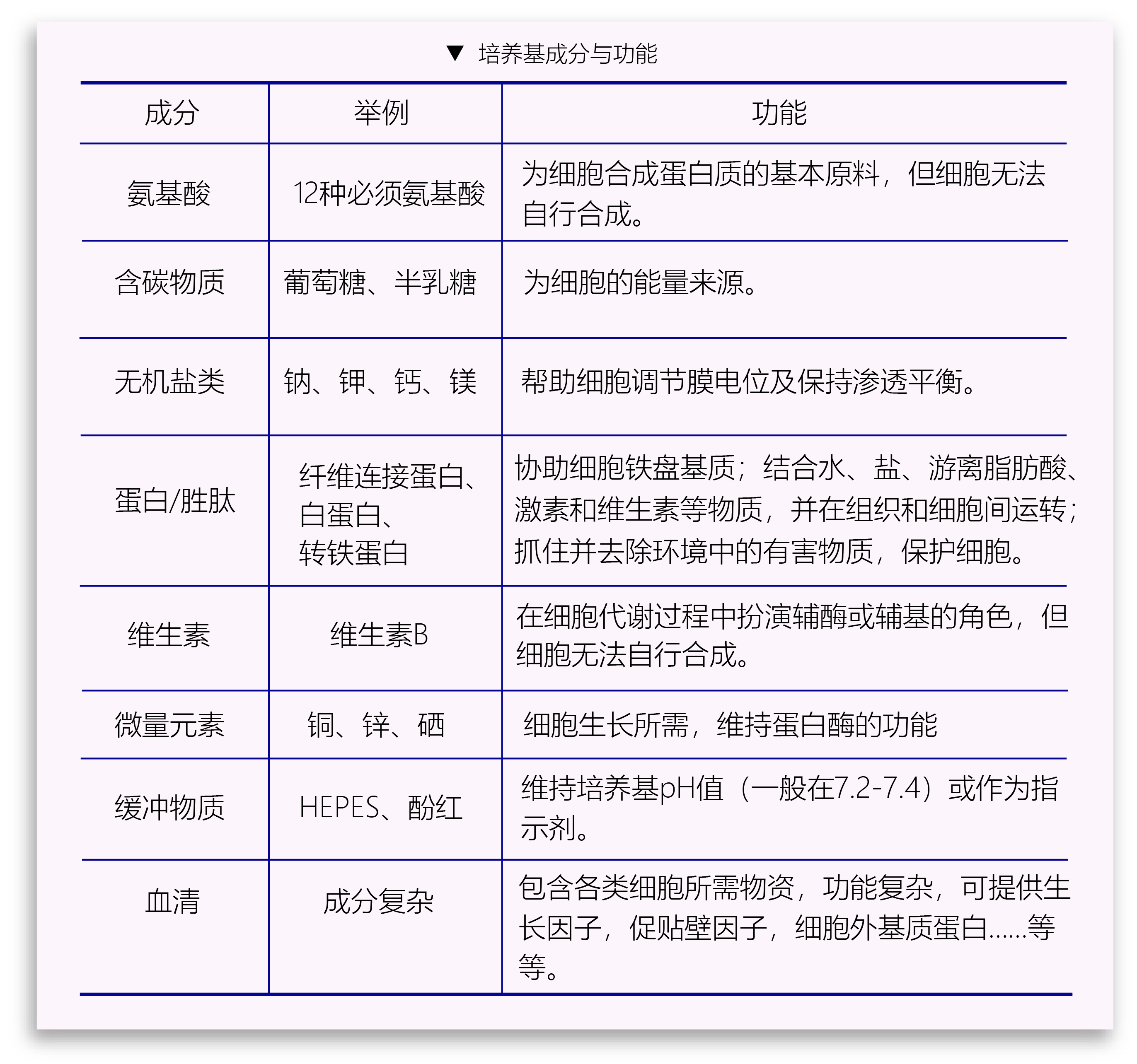 食用菌硒产品