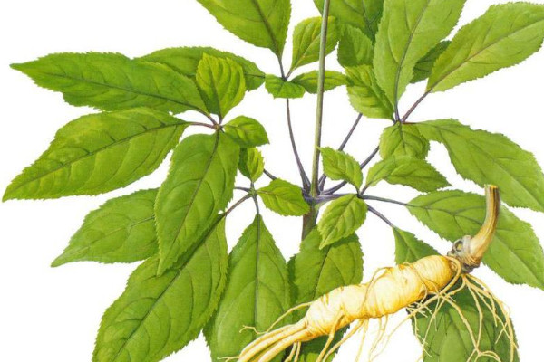 什么季节补锌效果最好