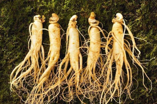 什么季节补锌效果最好