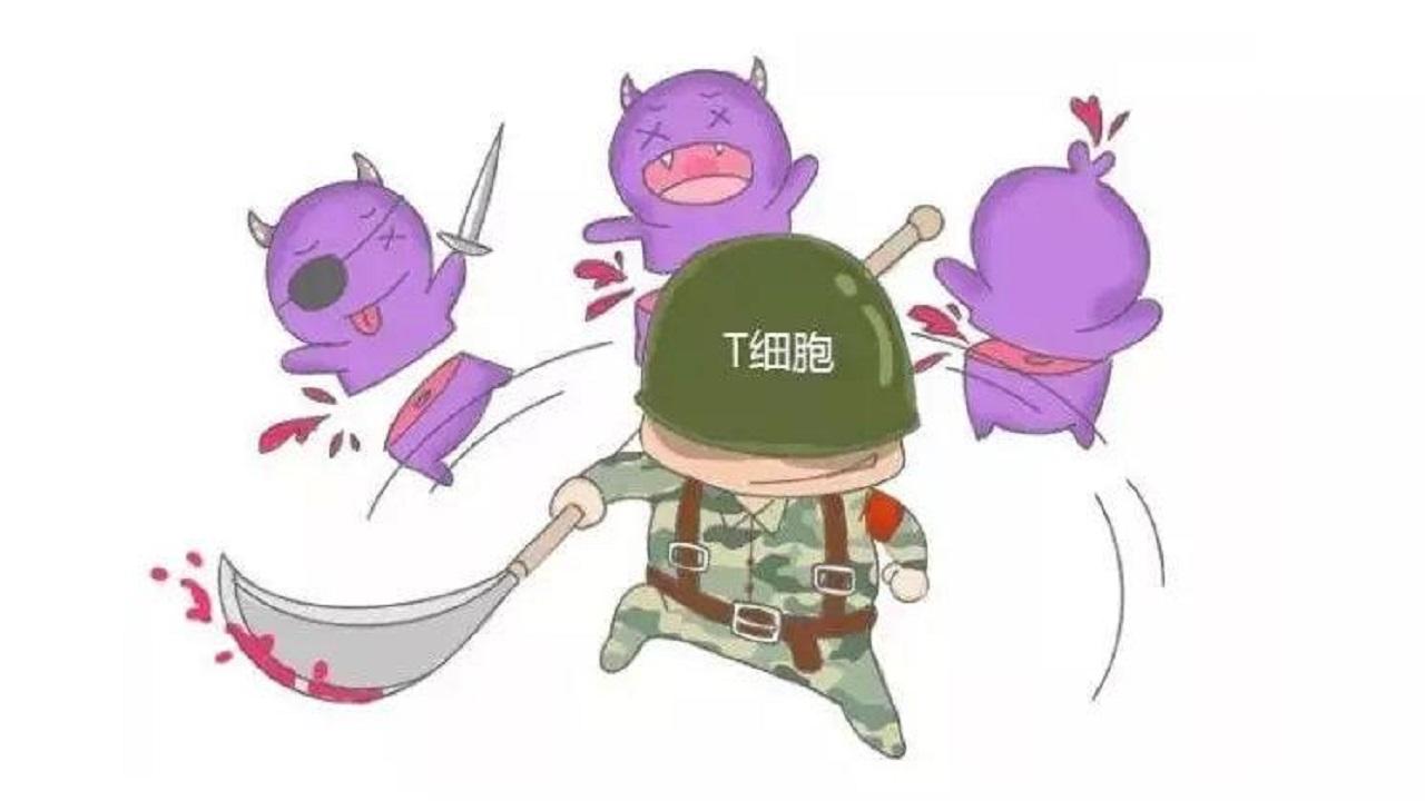 补锌能提高记忆力吗